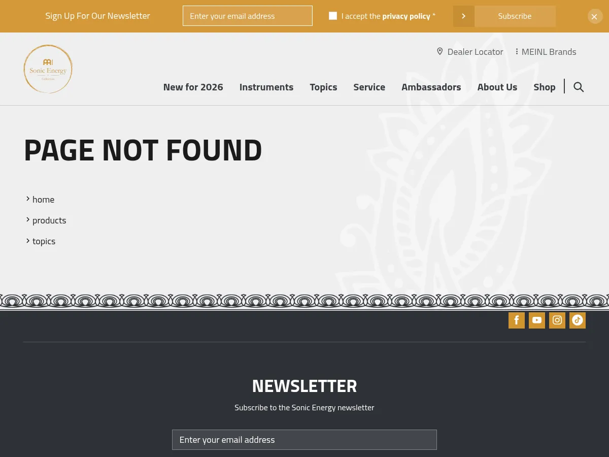 Meinl Sonic Energy Steel Tongue Drum STD2VB