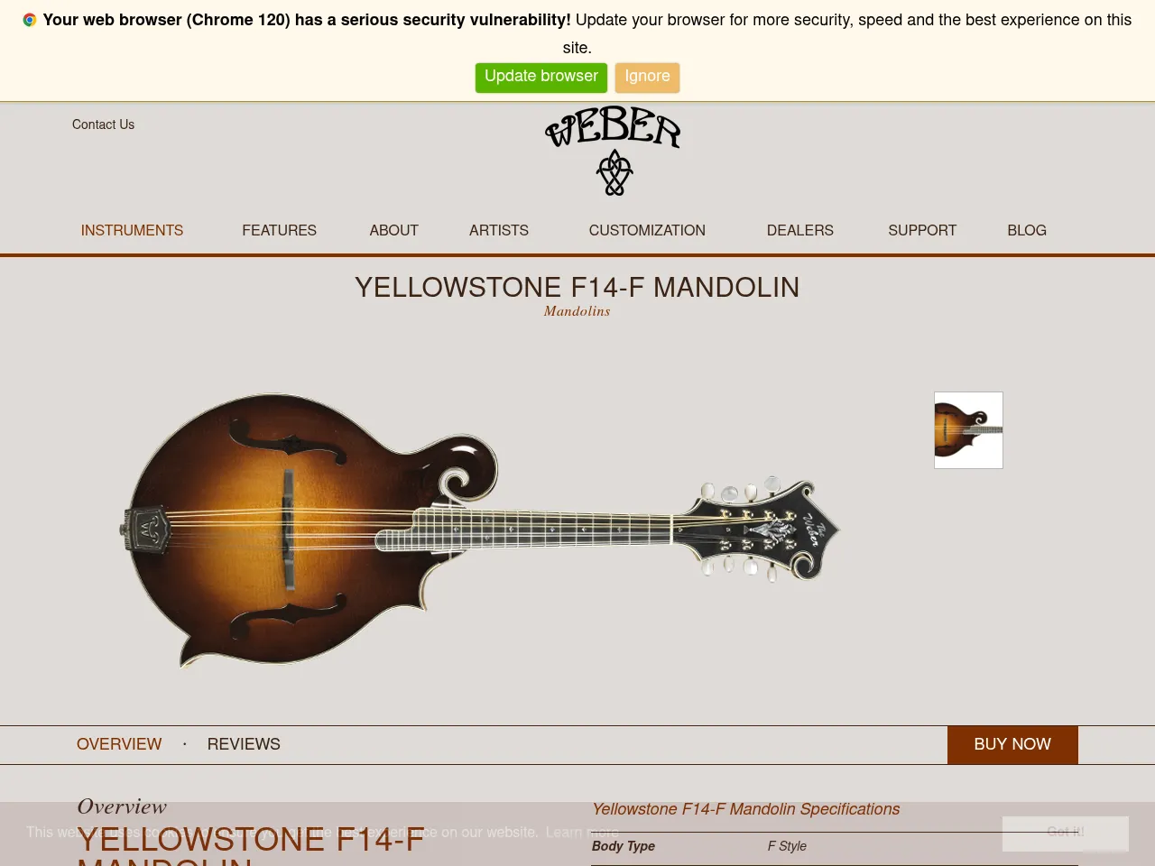 Weber Yellowstone F-Style Mandolin