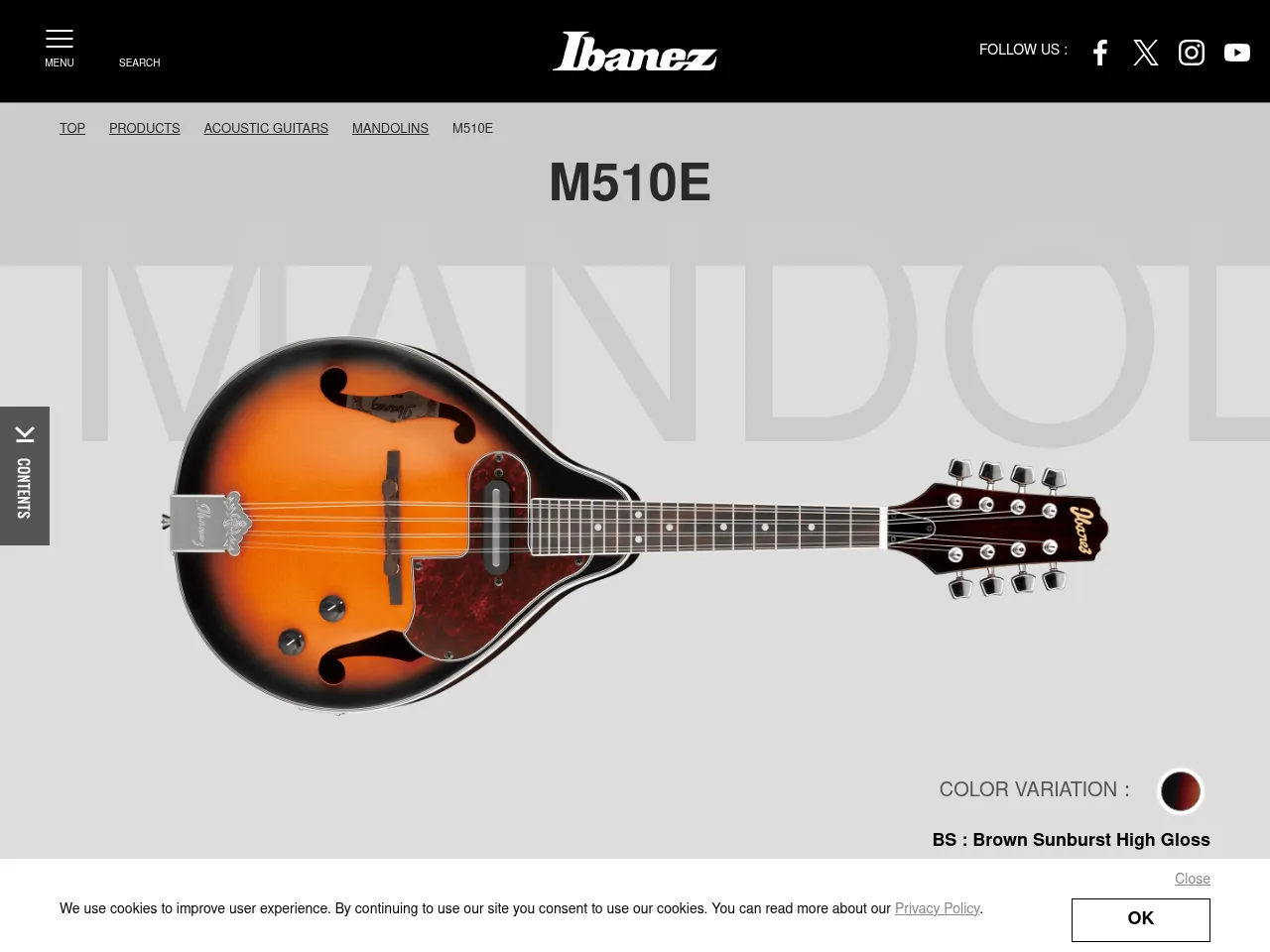 Ibanez M510E A-Style Mandolin