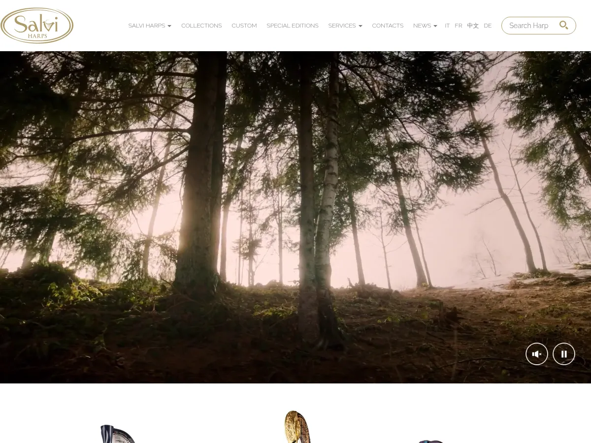 Salvi Ana Lever Harp